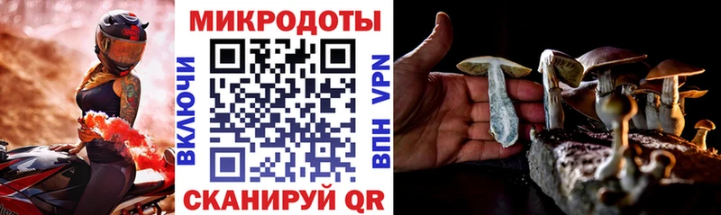 Купить закладки  Кизел  Псилоцибиновые грибы MAGIC MUSHROOMS 
